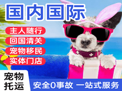 龙嘉空运代理国际宠物托运 【国