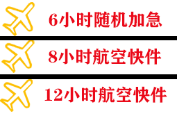 龙嘉空运代理快递公司,专业空运当天件