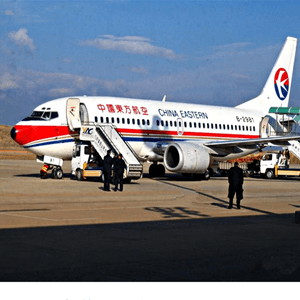 龙嘉空运代理航空快运业稳步发展的原因是什么？